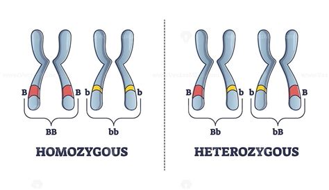 Coexistent heterozygous factor V Leiden and homozygous prothrombin G20210A gene mutations is a rare and potentially life-threatening occurrence. This inherited thrombophilia often presents as non-specific venous thromboemboli and can mimic a variety of emergent medical conditions. The pathophysiology of the disease has been well …